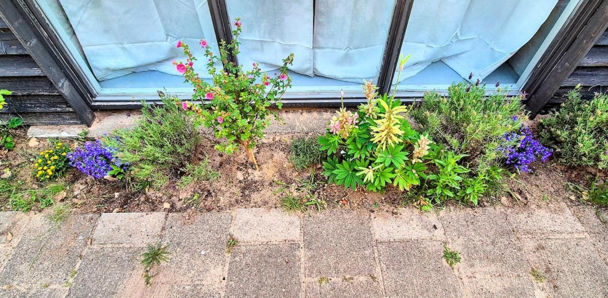 Apartment Garden